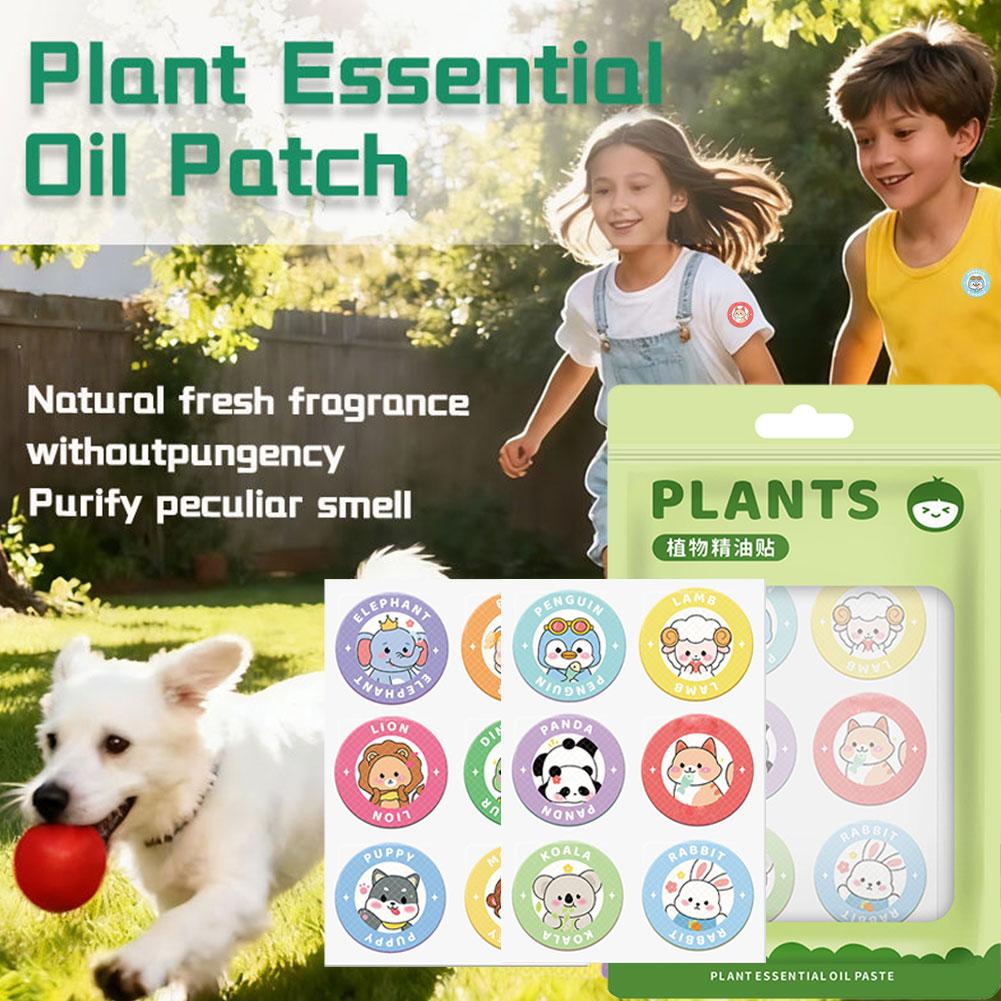 Natural Citronella Mugwort Mos - Outdoor Camping For Kids 评论和价格