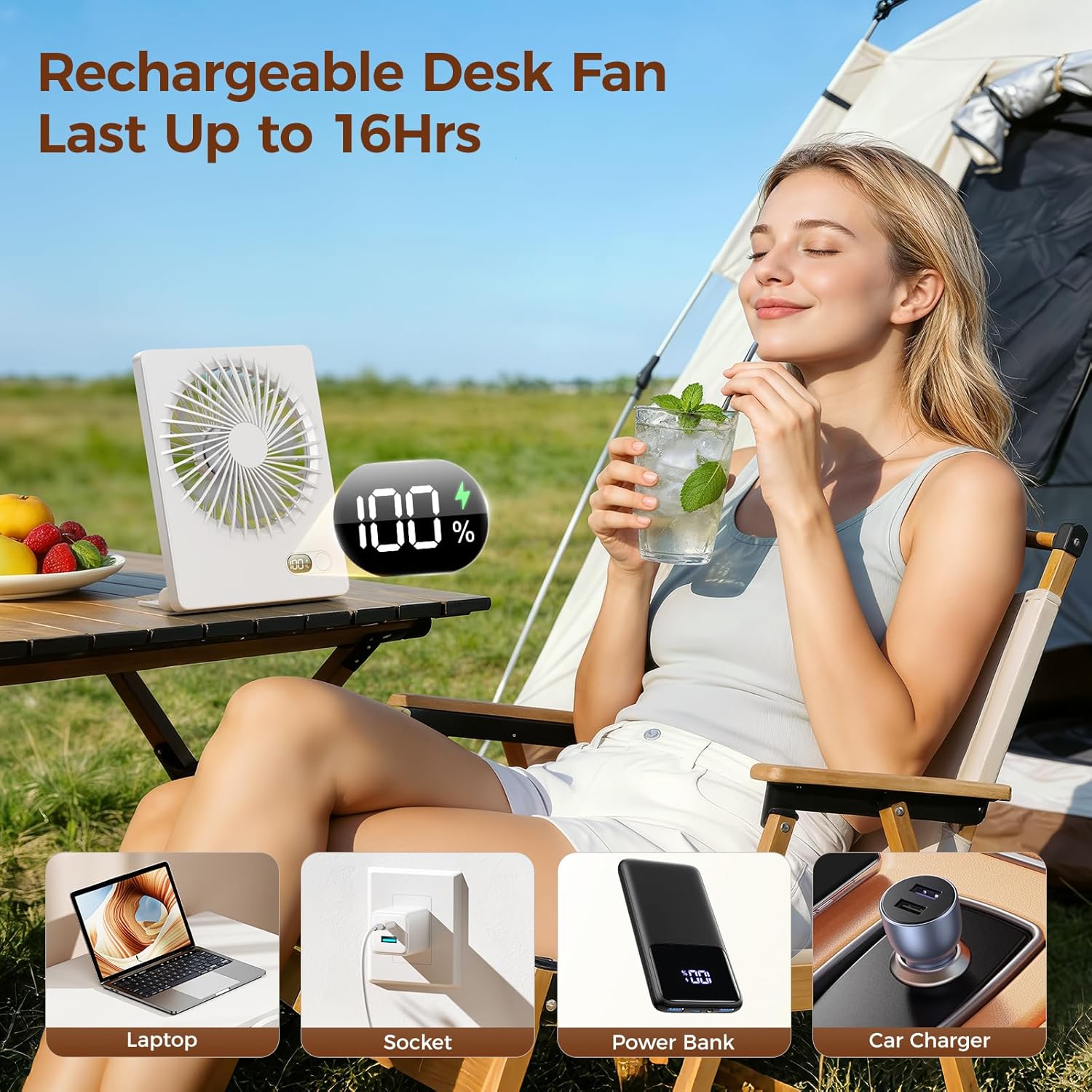 Rechargeable Desk Fan, 180° Ti - Camping Quiet 评论和价格